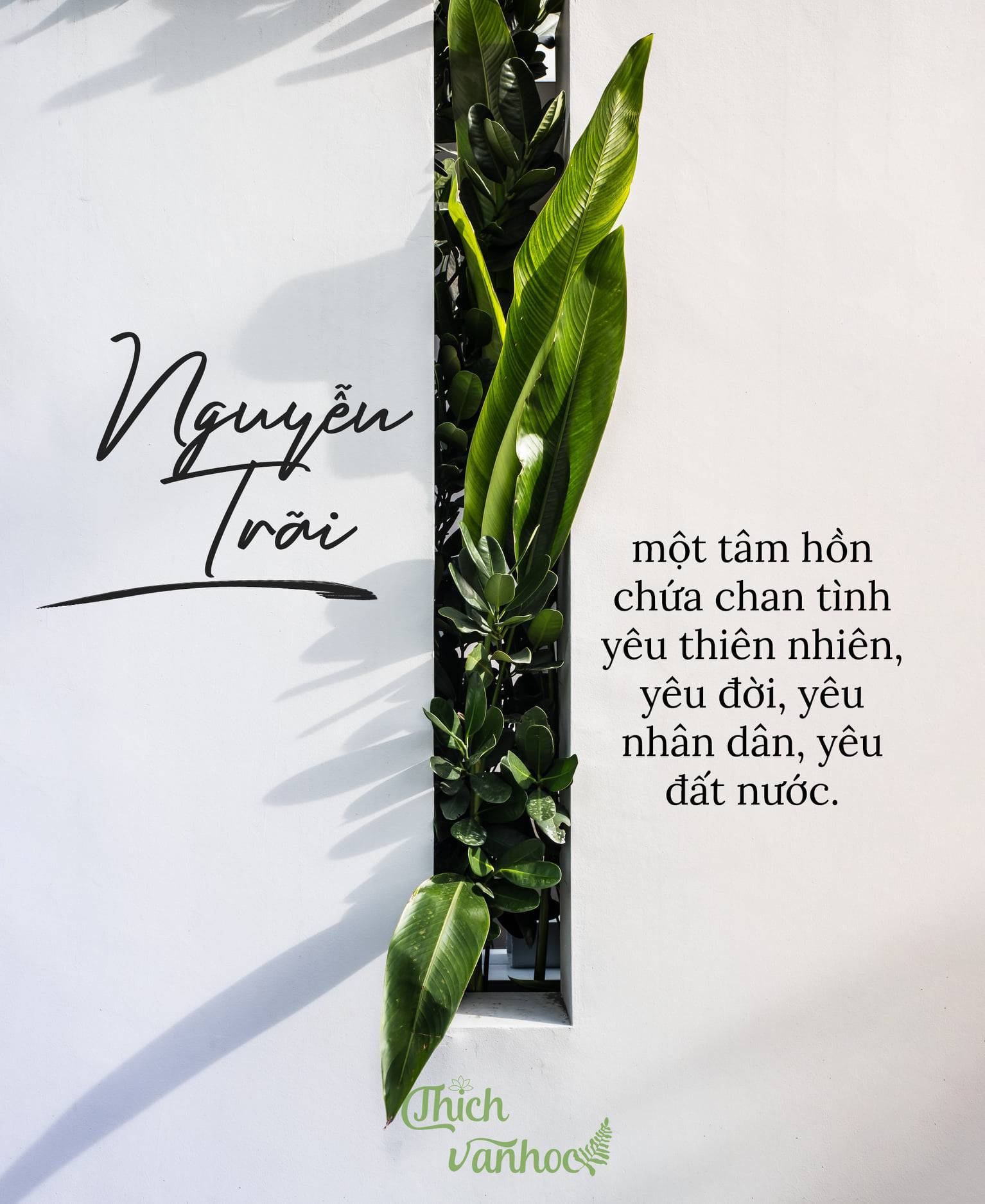 Vẻ Đẹp Tâm Hồn Nguyễn Trãi Qua Cảnh Ngày Hè - Thích Văn Học