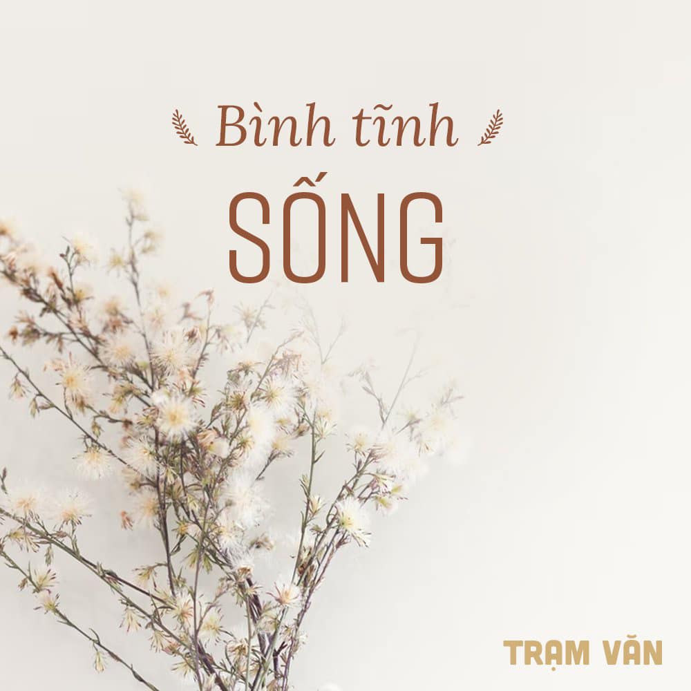 Binh tinh song