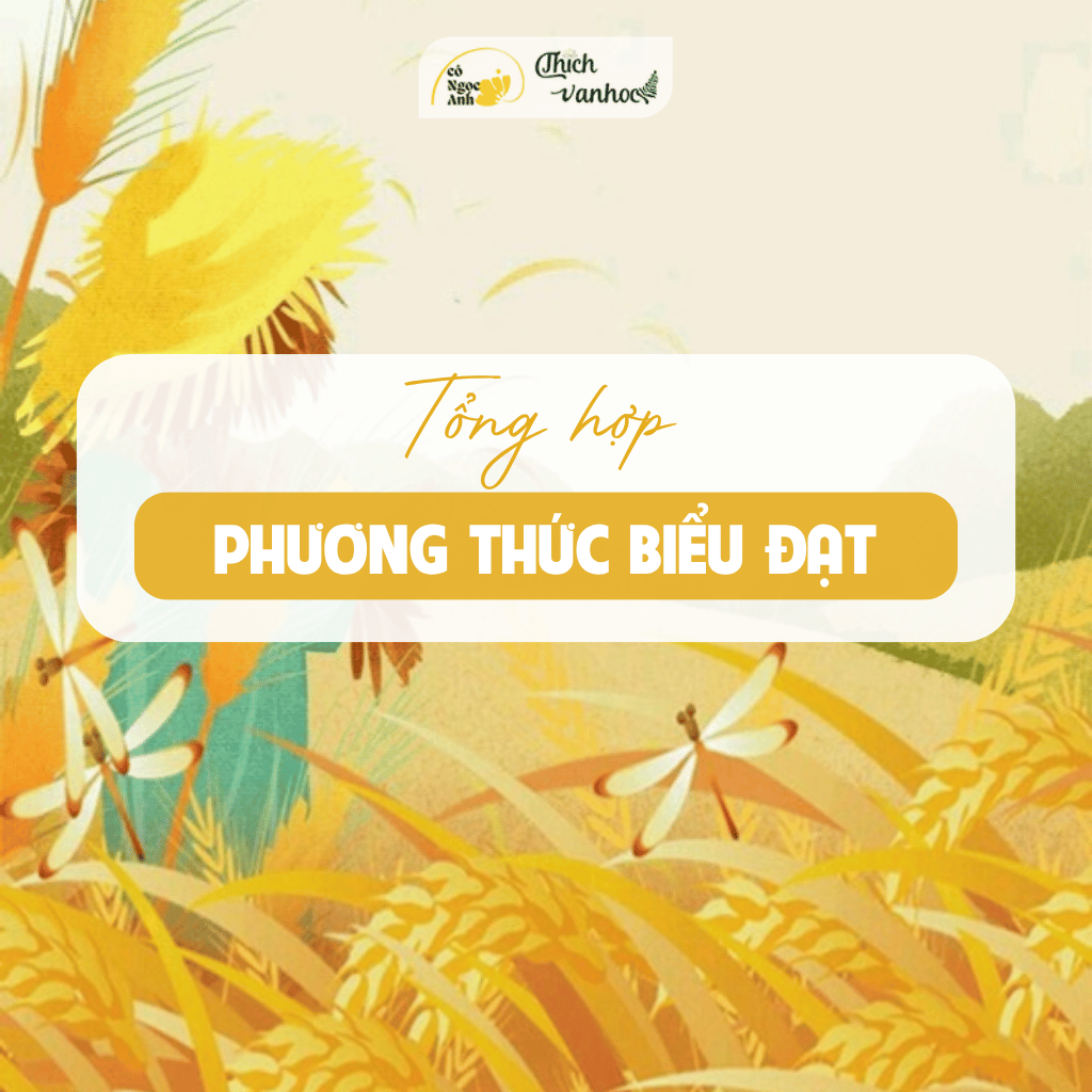 Tổng hợp các phương thức biểu đạt
